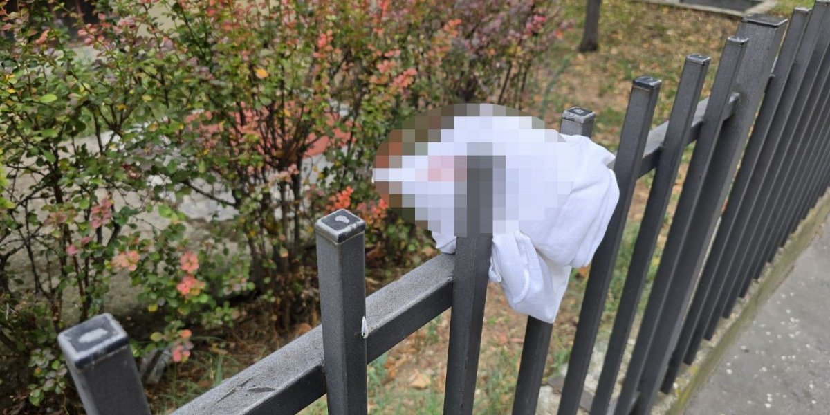 Mesto ubistva na Vračaru