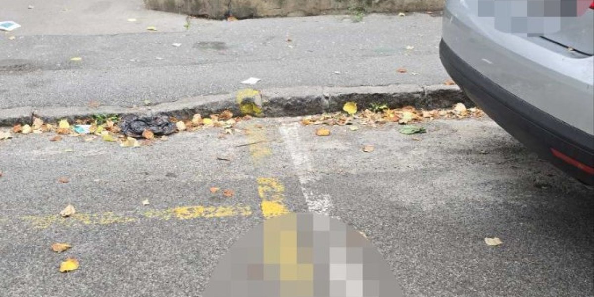 Mesto ubistva na Vračaru