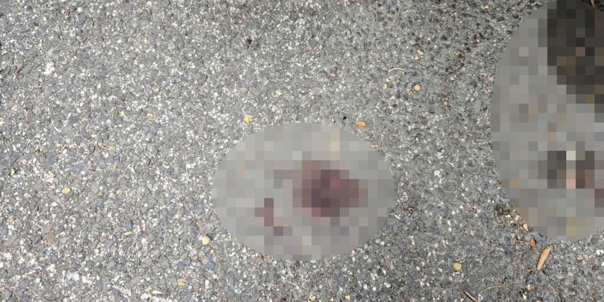 Mesto ubistva na Vračaru