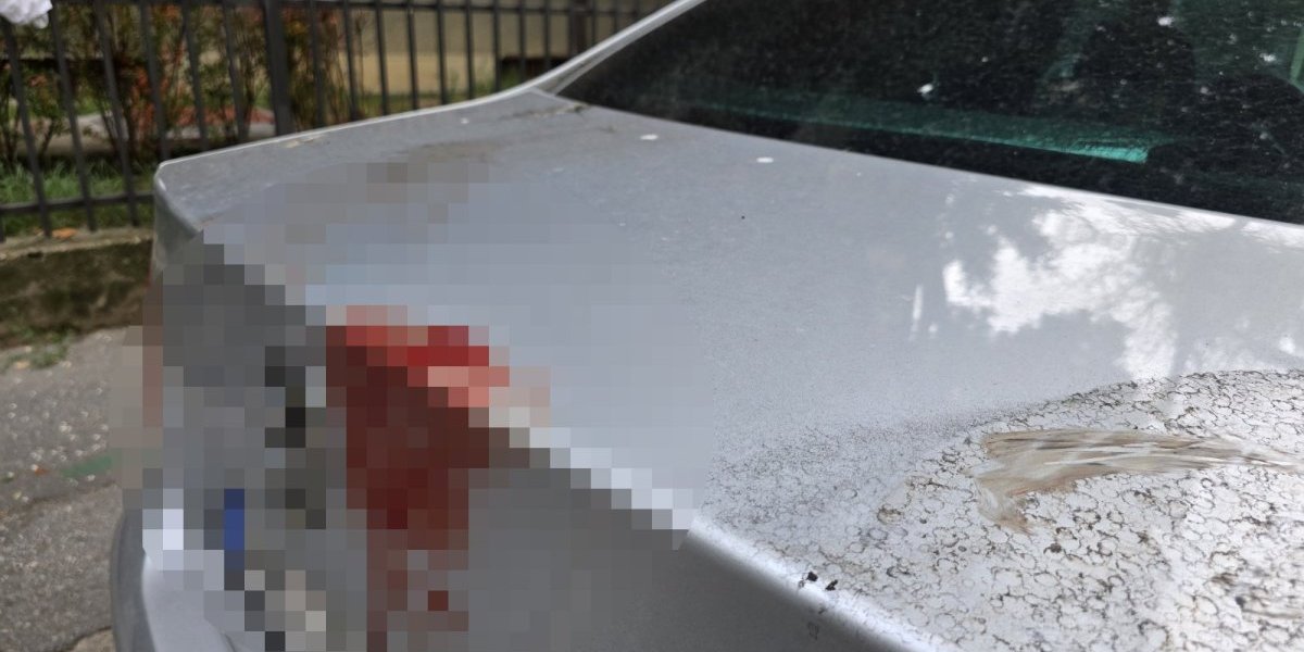 Mesto ubistva na Vračaru