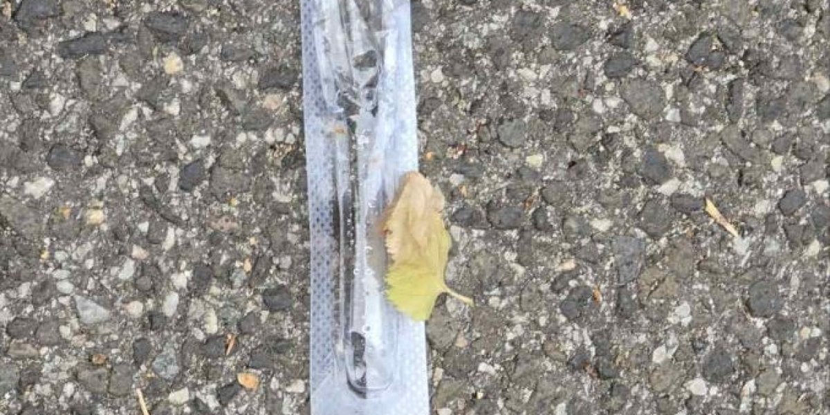 Mesto ubistva na Vračaru