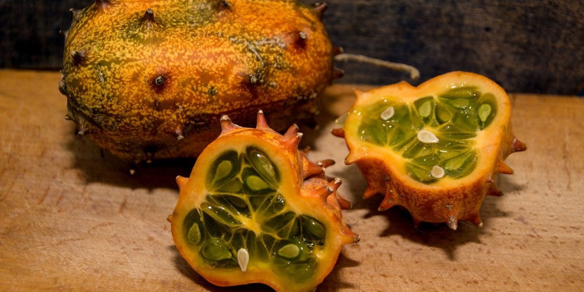 Ova biljka je rudnik zlata: Gaji se u Srbiji i košta 200 dinara po komadu (FOTO)