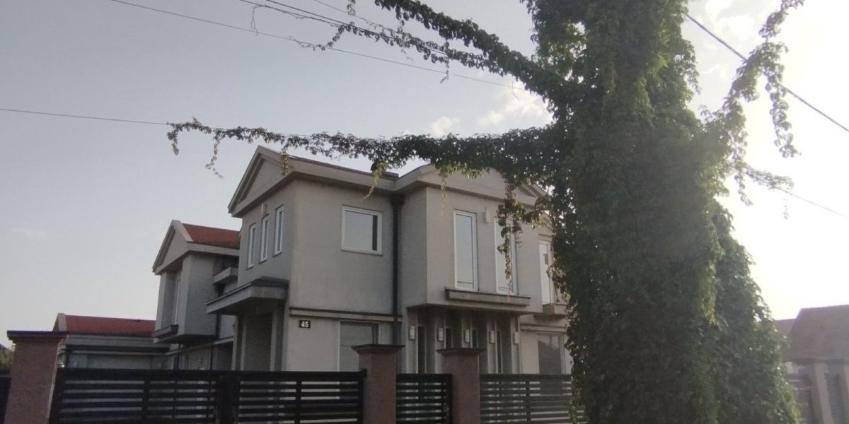 Pogledajte ovo čudo: Kako se priroda poigrala nasred Futoga