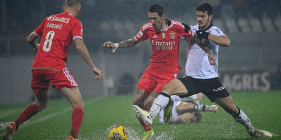 Bum na "Marakani": Zvezda dovodi reprezentativca Portugalije!