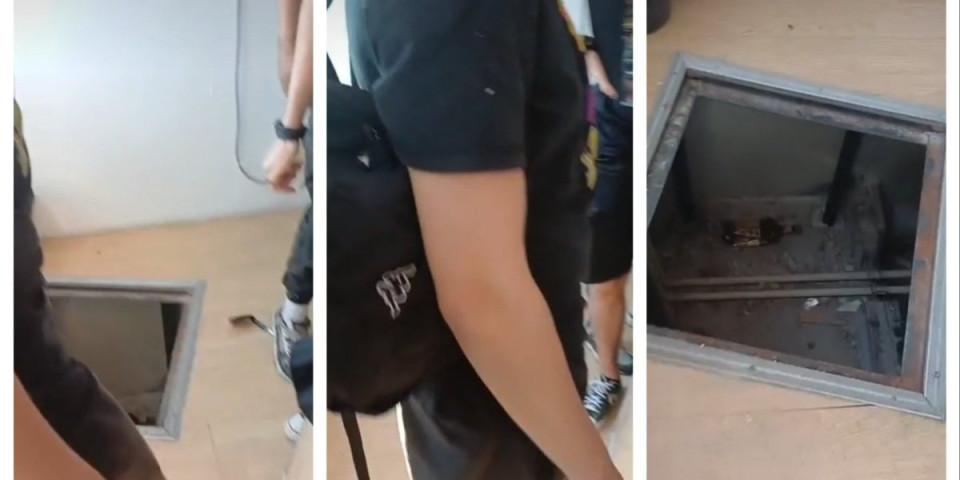 (VIDEO) Miševi: Oni su se krili u rupi na Difu u Novom Sadu