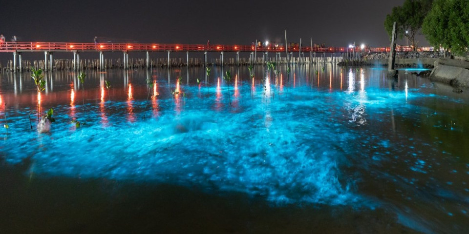 Plaža sija kao galaksija: Magični fenomen oduševio ljude - nestvaran prizor obišao planetu (VIDEO)