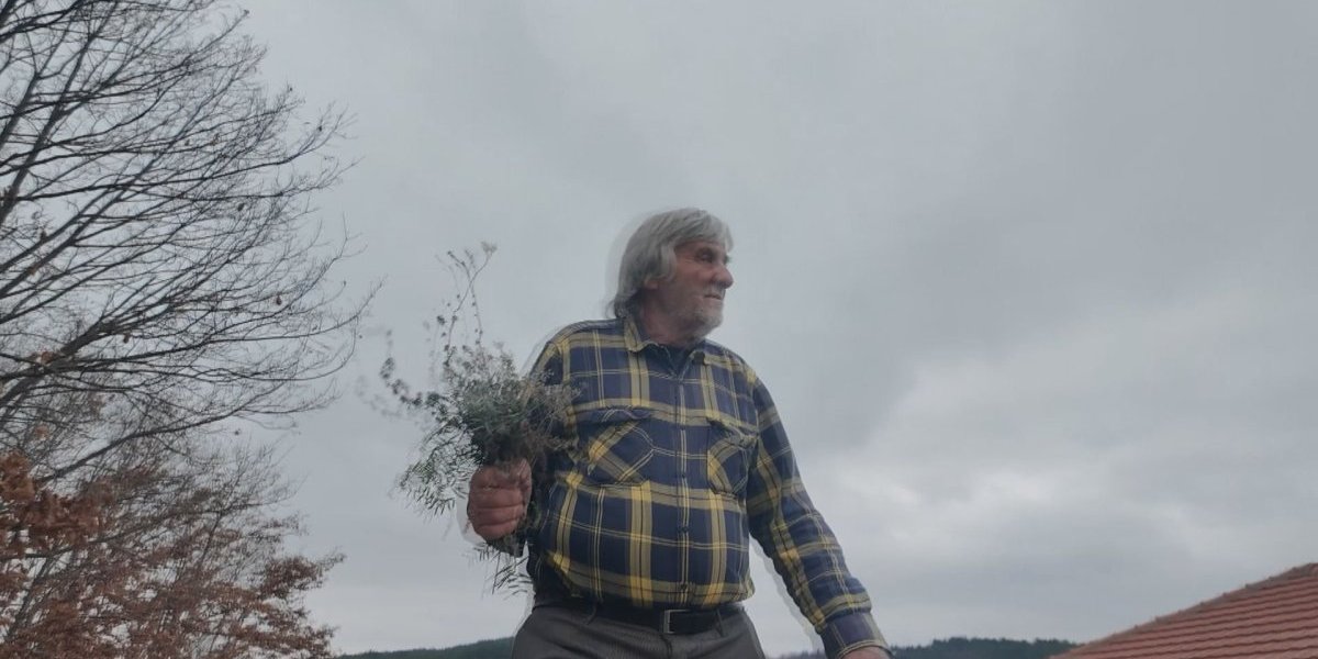 Kako je nagrabusio travar Moma: Inspekcija mu oduzela 100 litara ulja, a narod ga brani