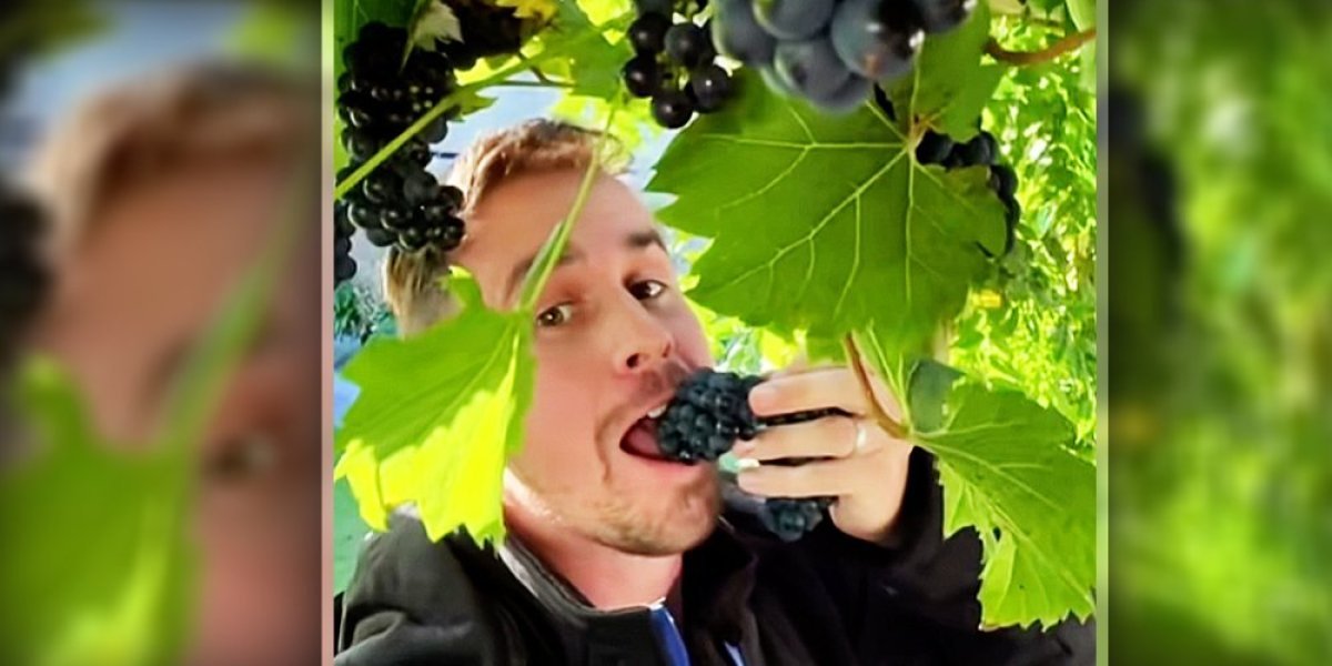 Ključni baštenski poslovi u septembru: Stručnjak otkriva šta treba da uradite kako bi blistala na proleće (VIDEO)