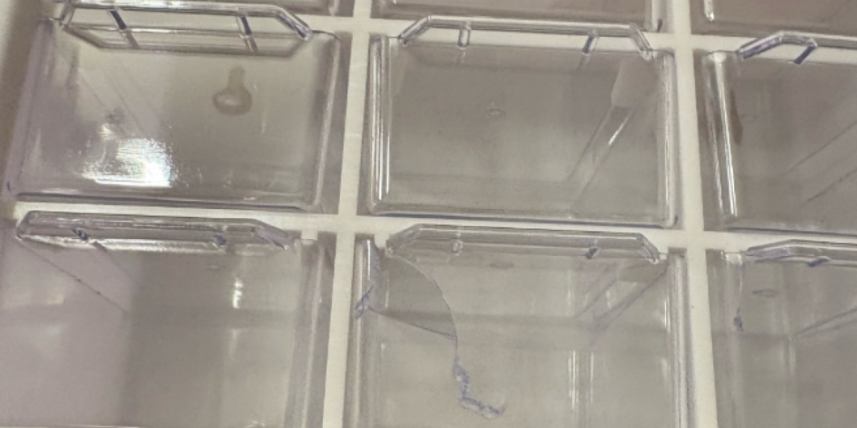 Polomljen organizator