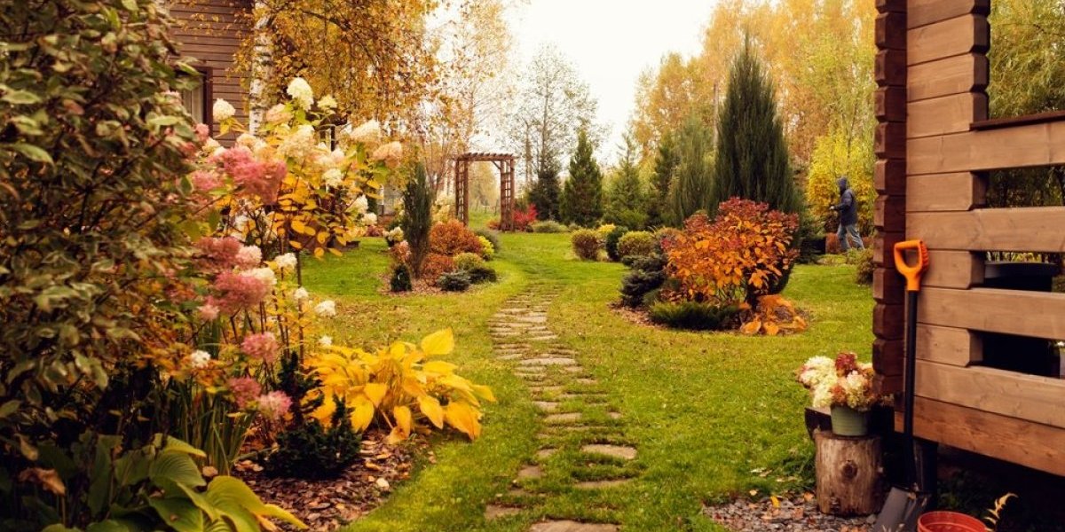 Gust travnjak i u septembru: Saveti profesionalnih baštovana za savršenu jesenju oazu