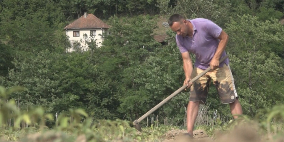 Njegoš je kralj paprike! Sve što nabere to i proda, robu šalje čak do Nemačke