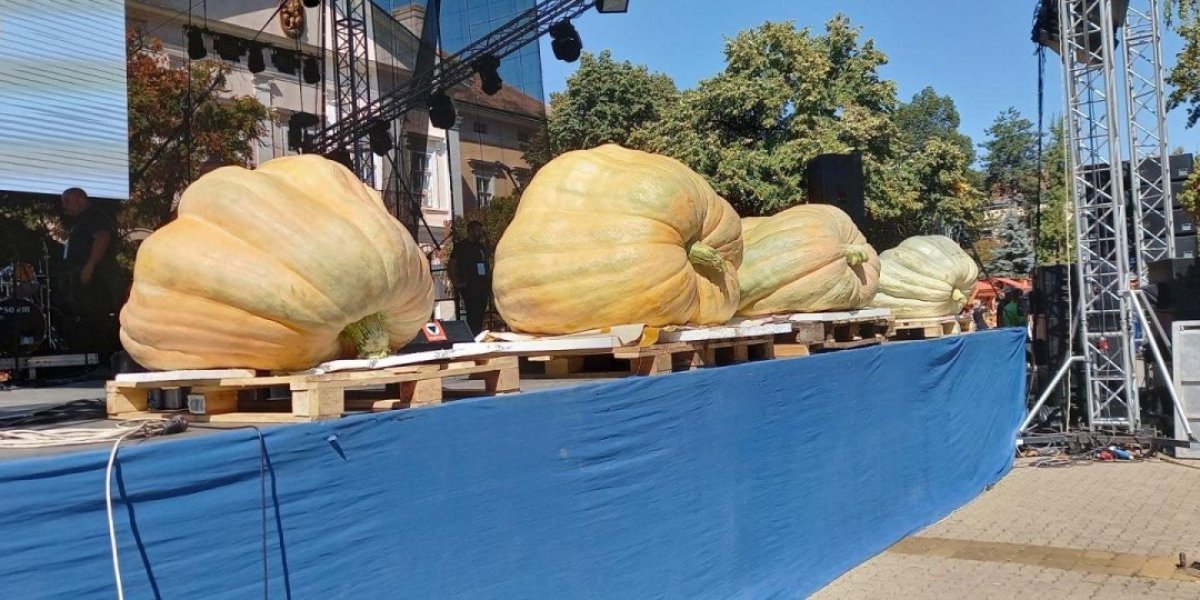 Od prve ludaje do džinovskih rekordera: Ovog datuma počinje jubilej u Banatu