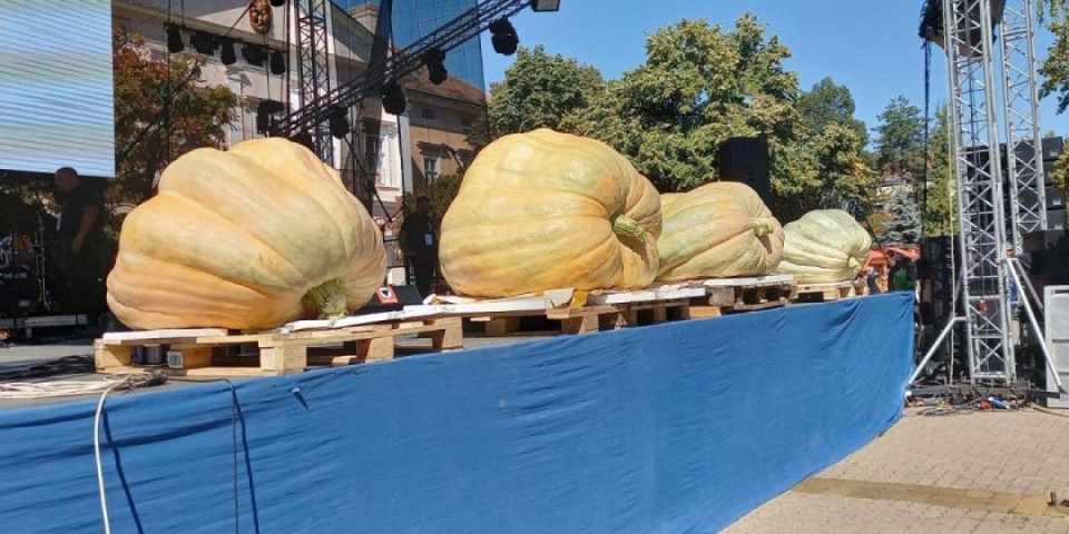 Od prve ludaje do džinovskih rekordera: Ovog datuma počinje jubilej u Banatu