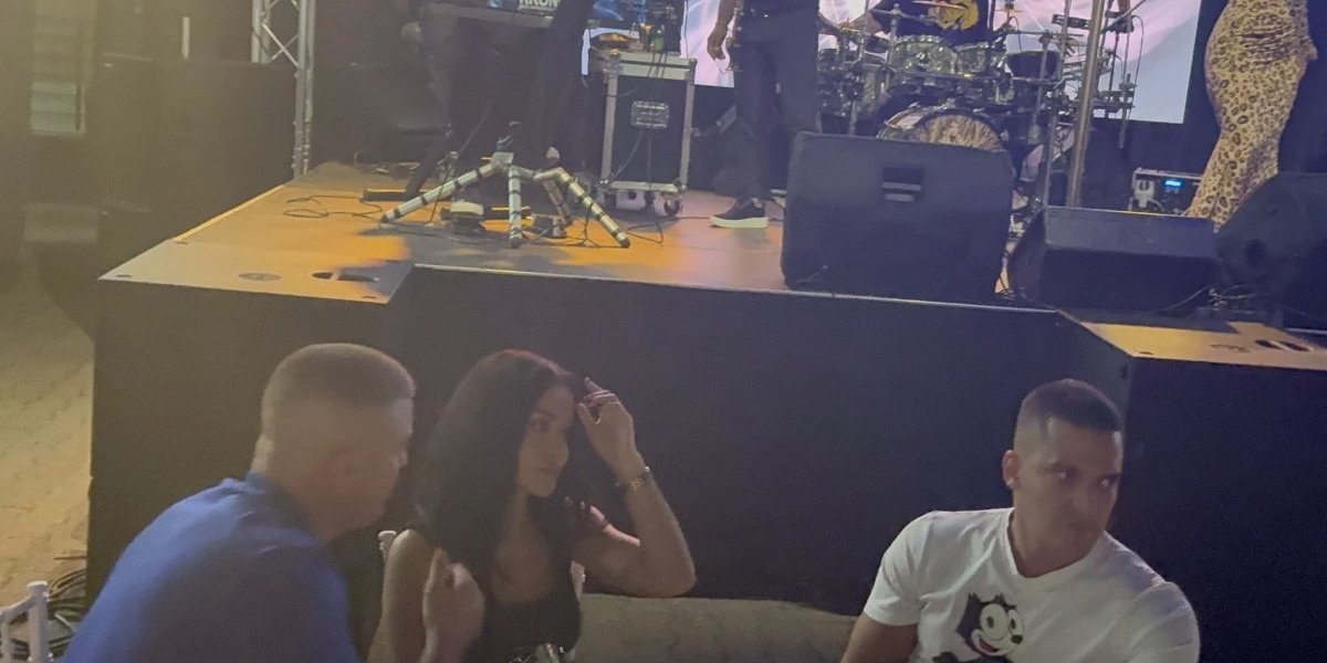 Aleksandra Mladenović i Darko Dobričanin