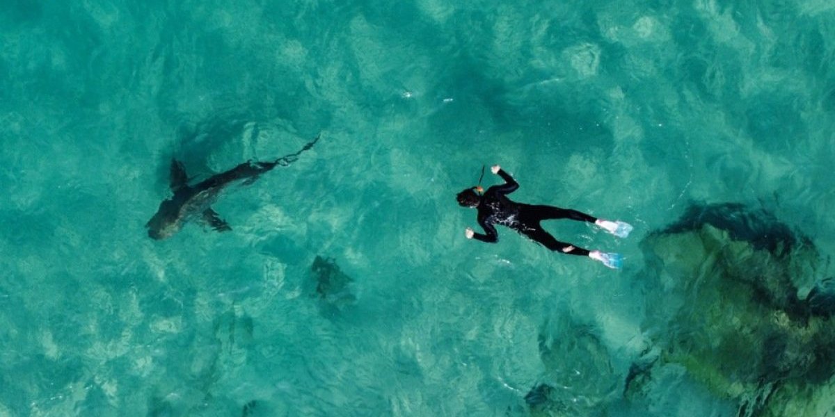 Napad nemani: Žrtva ostala bez obe noge i ubrzo preminula (VIDEO)