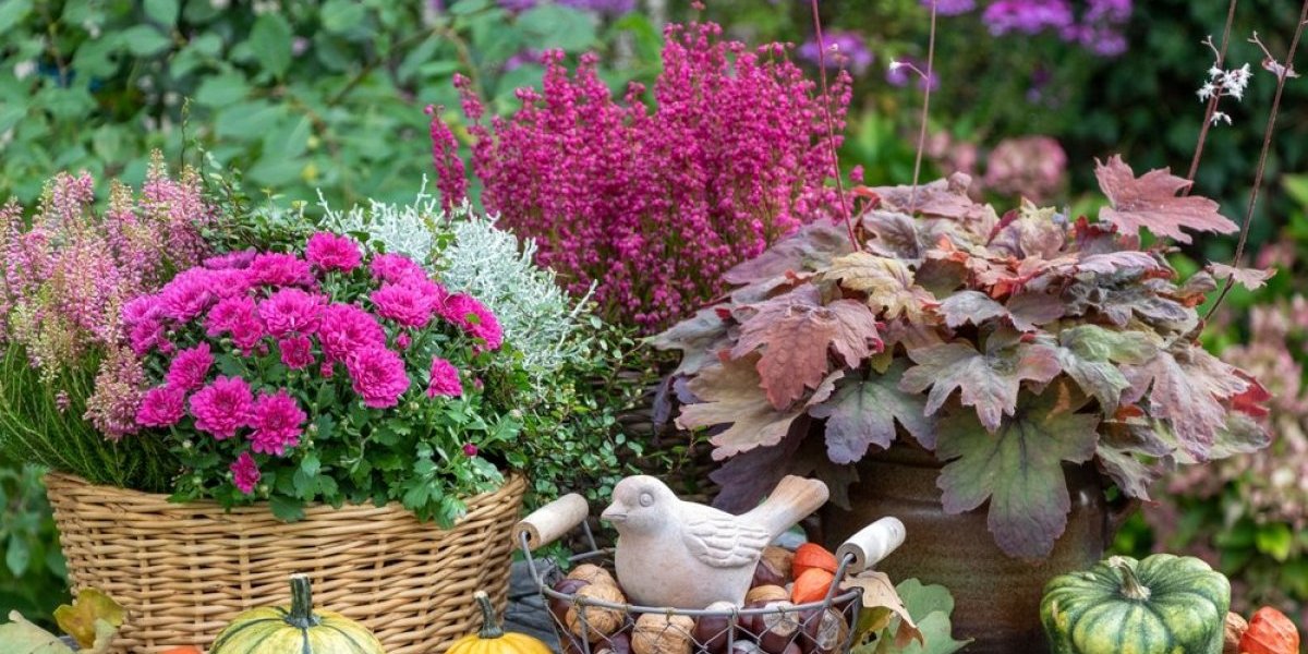 Oktobar je ključ za savršeno proleće: Posadite ova 3 cveta i vaša bašta će oduzimati dah