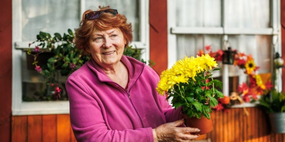 Spasite biljke na vreme: Jesenja pravila - evo kada hitno morate da ih unesete u kuću