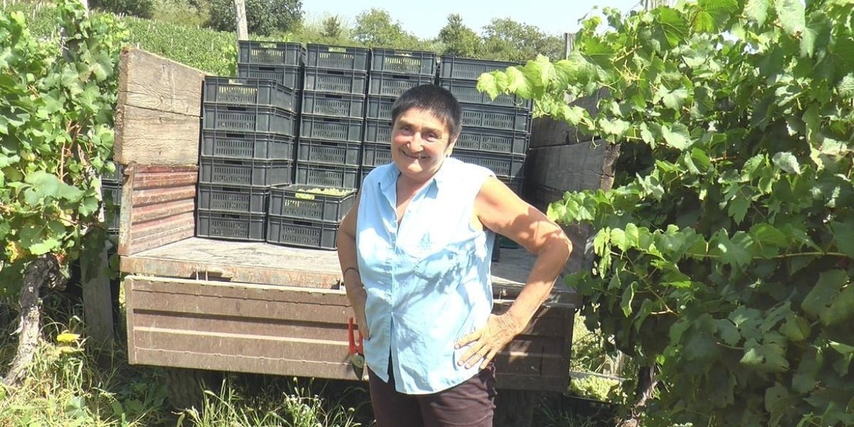 Mira Lukić, profesorka u penziji 