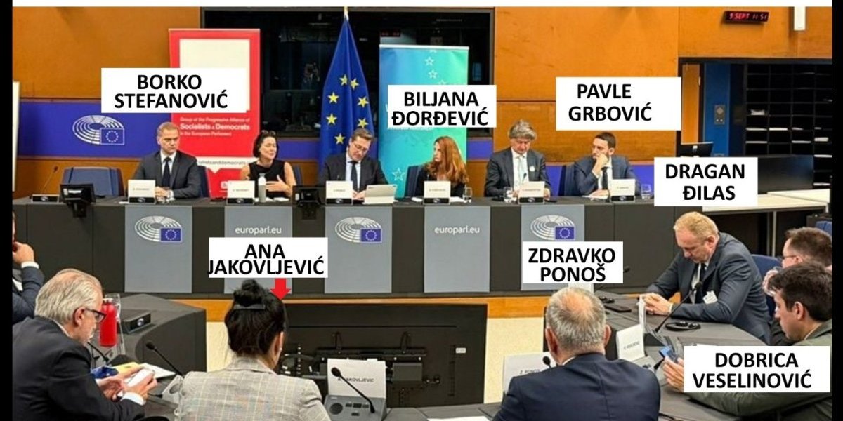 Politički zgubidani pucali u vazduh - i nisu ga pogodili: Bruka i sramota u Strazburu