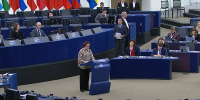 Evroposlanica iz Mađarske Anamarija Viček govorila je danas na današnjem redovnom zasedanju Evropskog parlamenta u Strazburu.