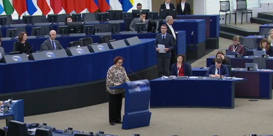 Glas razuma u EP: Ne smemo dozvoliti da huligani izazovu građanski rat u Srbiji