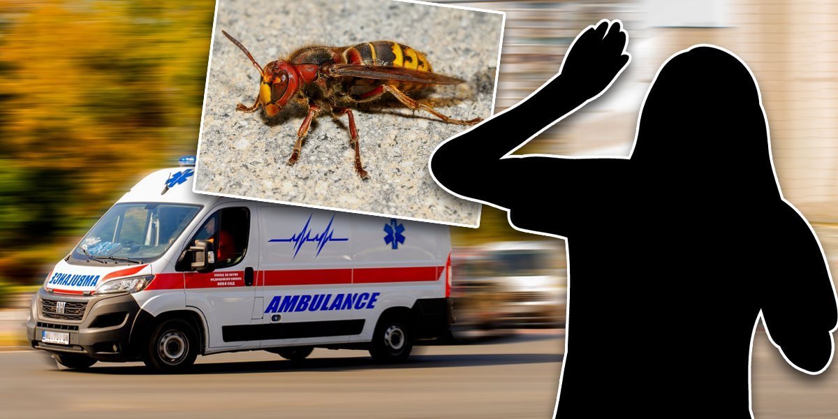 Žena (38) umrla od ujeda stršljena: Horor kod Vrnjačke Banje
