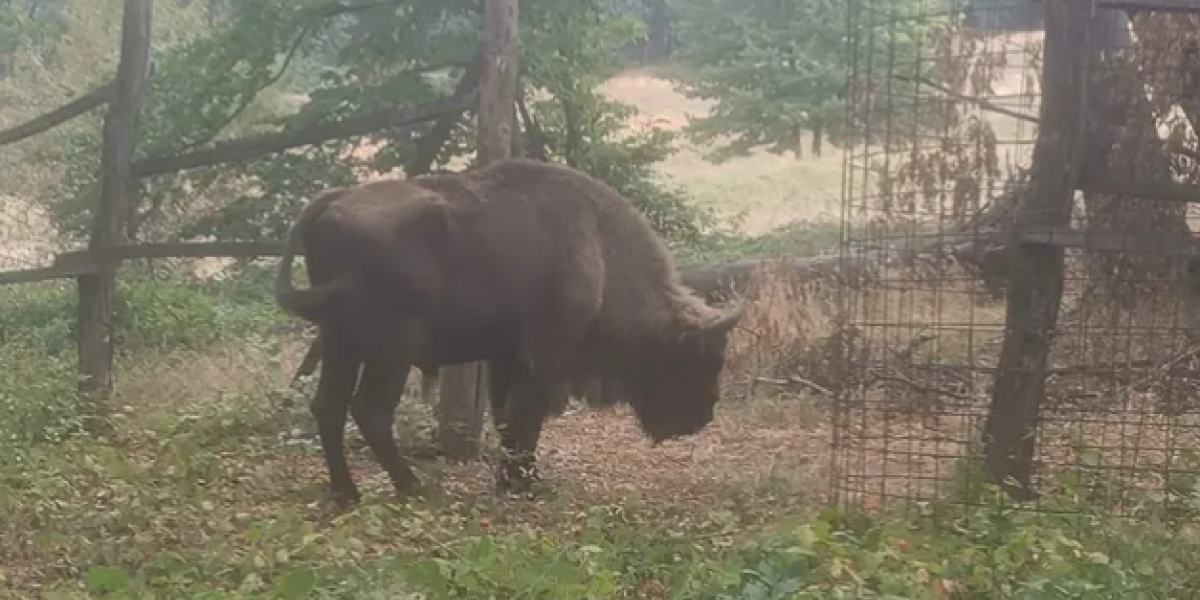Kraj drame: Tajfun se vratio kući