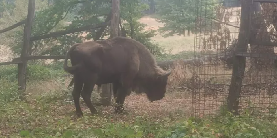 Kraj drame: Tajfun se vratio kući