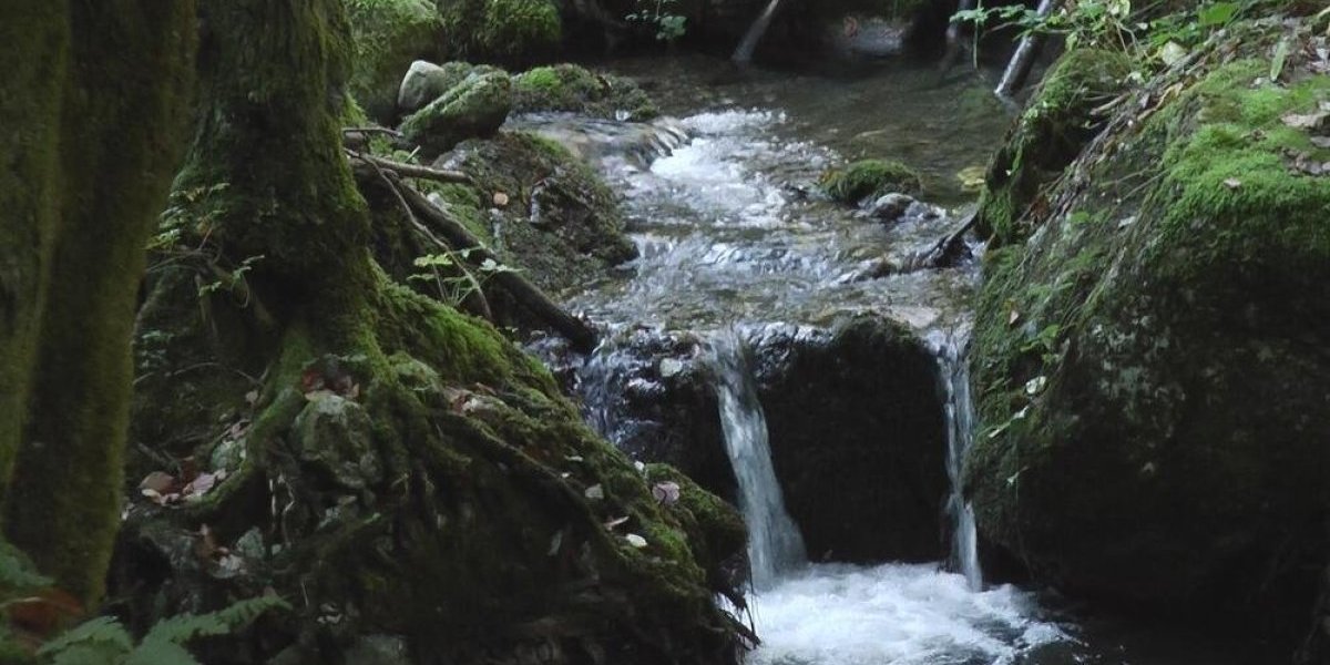Lekoviti izvori na Mokroj Gori