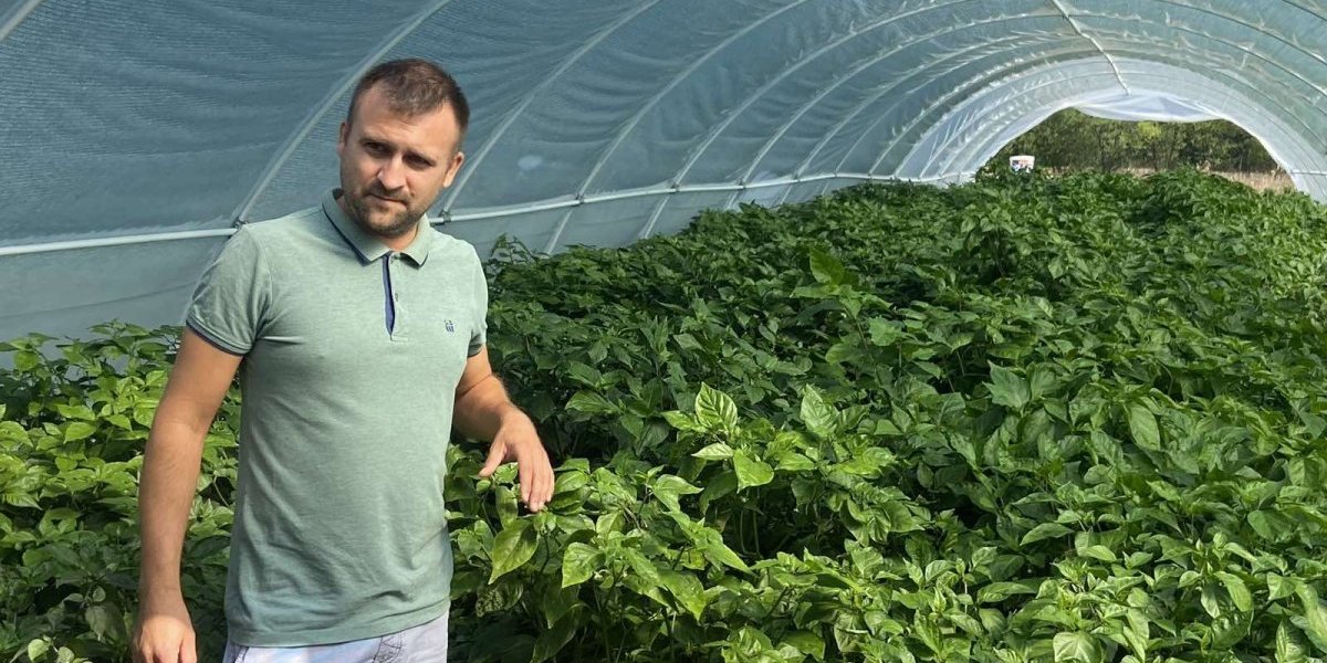 Kilogram ove paprike košta čak 25.000 dolara: Dušan u Šumadiji gaji i najljuću, a cena...