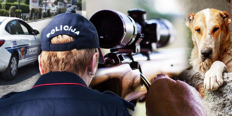 Lovačkom puškom ubio komšijskog psa: Određen pritvor monstrumu