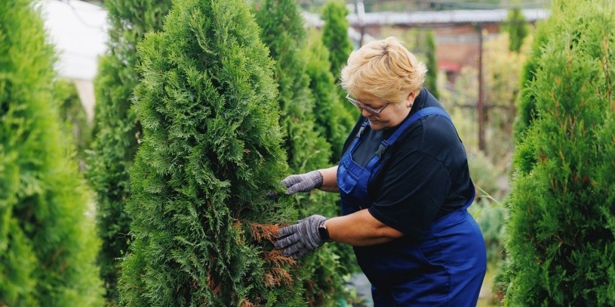 Spasite svoje tuje pre nego što bude kasno: 1 stvar obavezno uradite u septembru