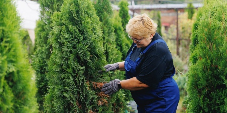 Spasite svoje tuje pre nego što bude kasno: 1 stvar obavezno uradite u septembru