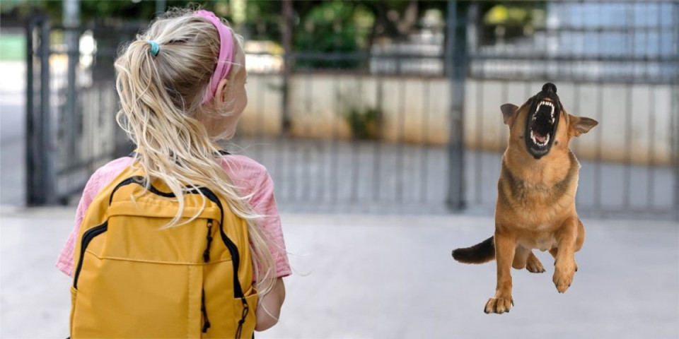 Pas izujedao učenicu (7) na času: Užas u Boljevcima