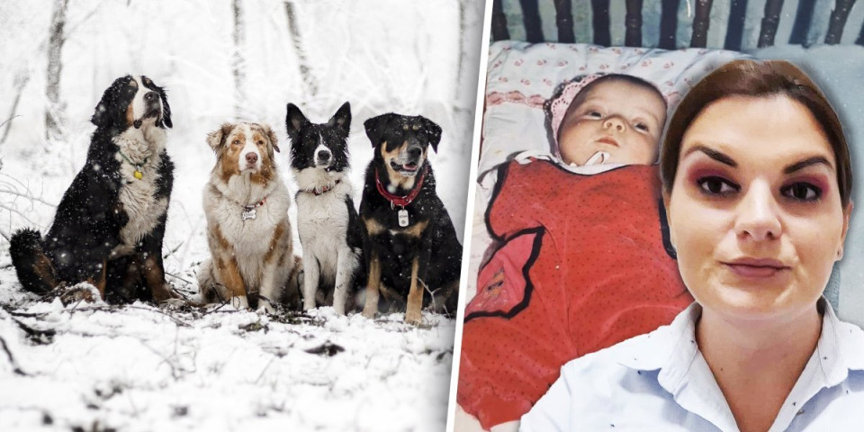 Ostavljena kao beba u snegu da umre: Čuvao je čopor pasa, a onda se desilo čudo (FOTO)