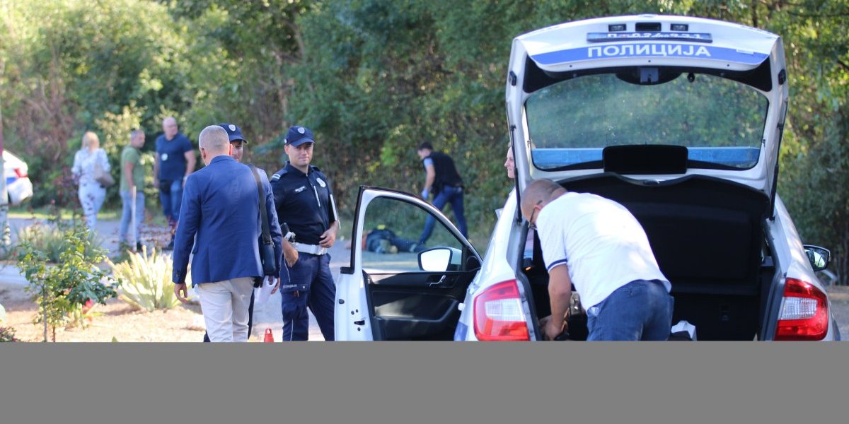 Uviđaj ubistva u Velikom Polju