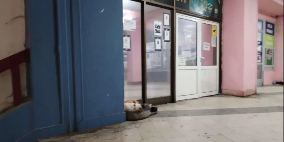 Komšija prokleo komšiju: Kad vidite zbog čega, biće vam i smešno