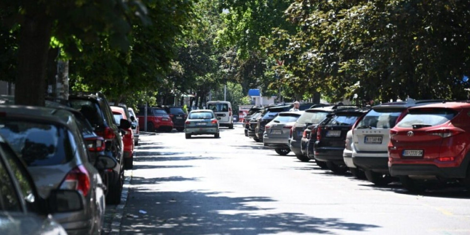 Ovde neće biti psećeg izmeta: Beogradska opština odlučna da reši problem