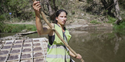 Dvadesetogodišnji Nikola Vujčin Ramirez iz Kolumbije doselio se u Srbiju pre tri godine kako bi upoznao očevu domovinu o kojoj je mnogo slušao.