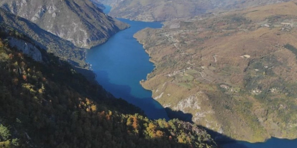 Ponos Srbije slavi tri jubileja: Jedan je o drvetu koje raste samo na njenim padinama