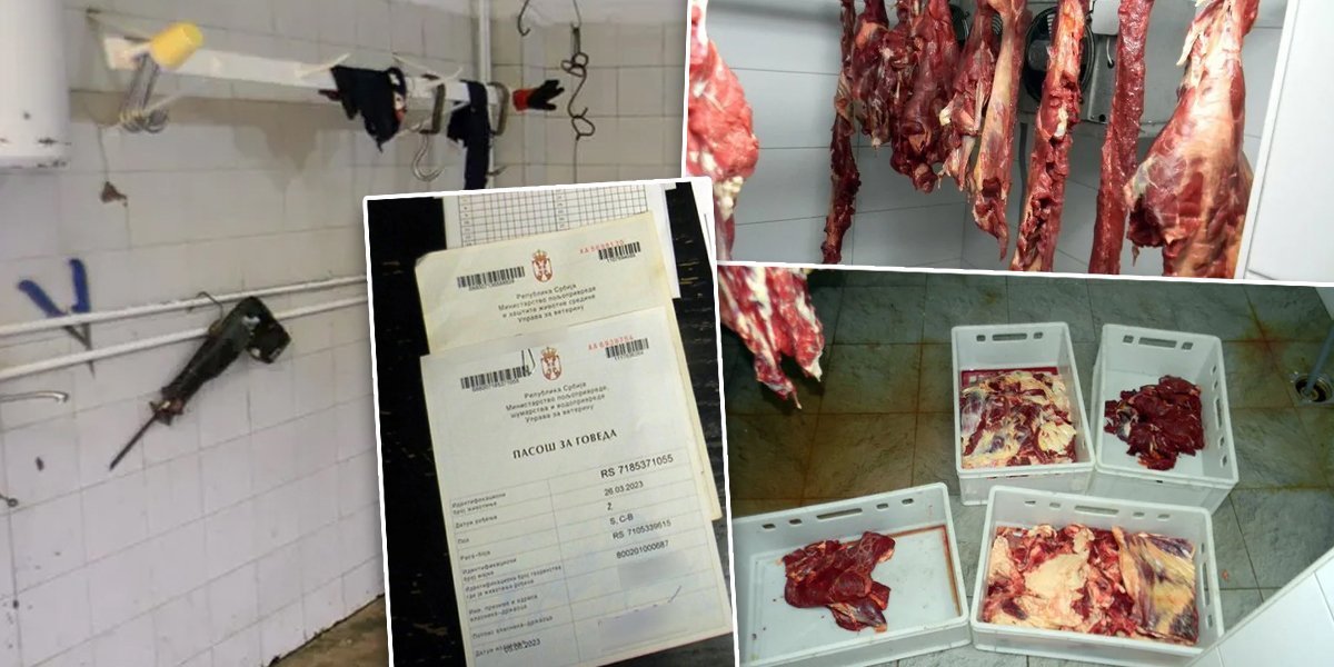 Prodao više od 30 tona neispravnog svinjskog mesa: Otkrivena nelegalna klanica kod Odžaka (FOTO)