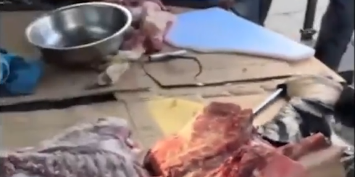 Priprema mesa i pakovanje na kartonu