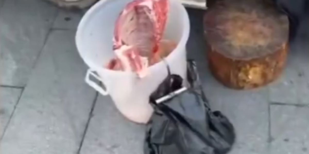 Hrana se obrađuje u nehigijenskim uslovima