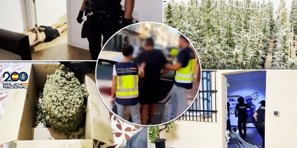 Drogu uzgajali unutar tvrđave opasane zidinama: Šarićevi saradnici uhapšeni u gaćama (FOTO/VIDEO)