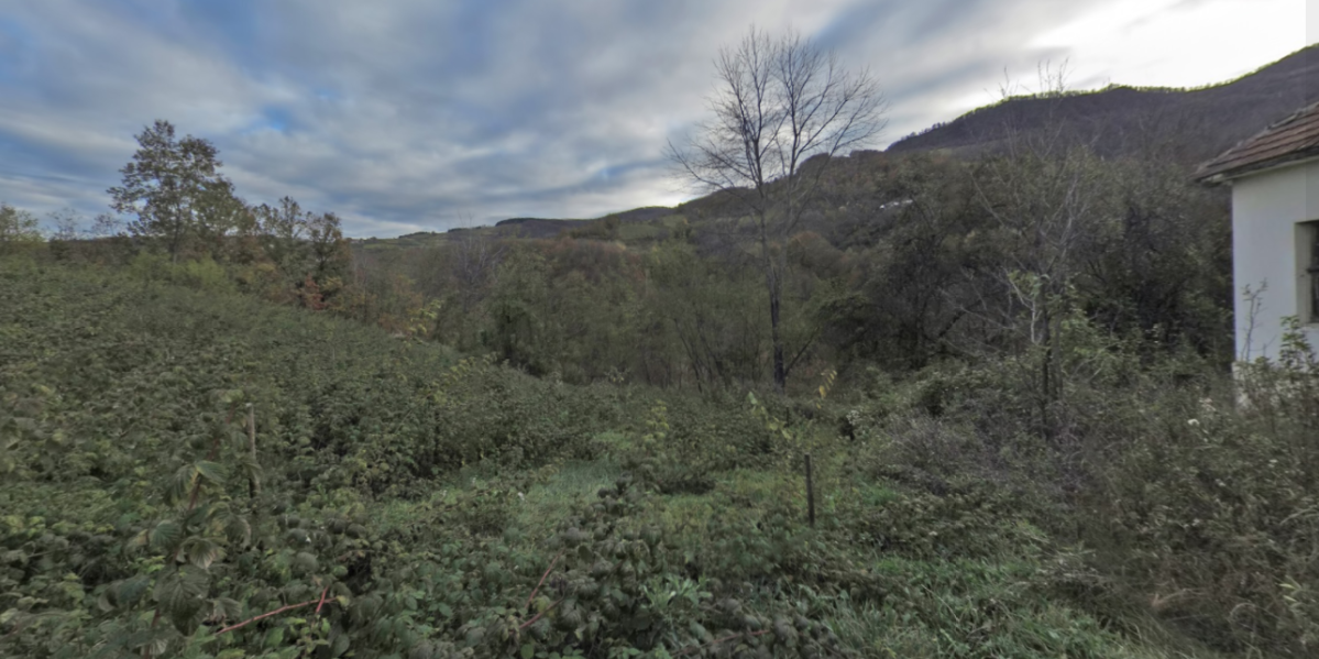 Ovo ima samo na Tari! Baš ga briga što dolazi zima, mirno se šetka i jede sve redom (FOTO)