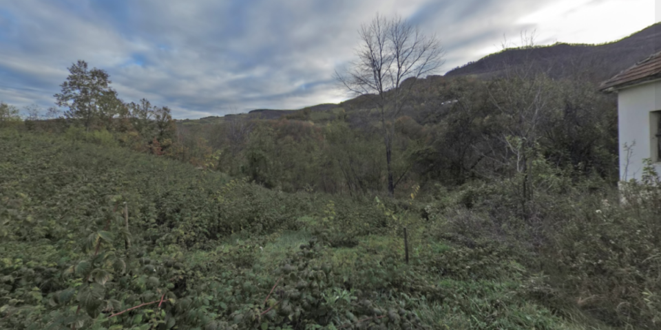 "Ljudi, poješće nas sve": Meštani ivanjičkog sela ni u šumu ne smeju da odu