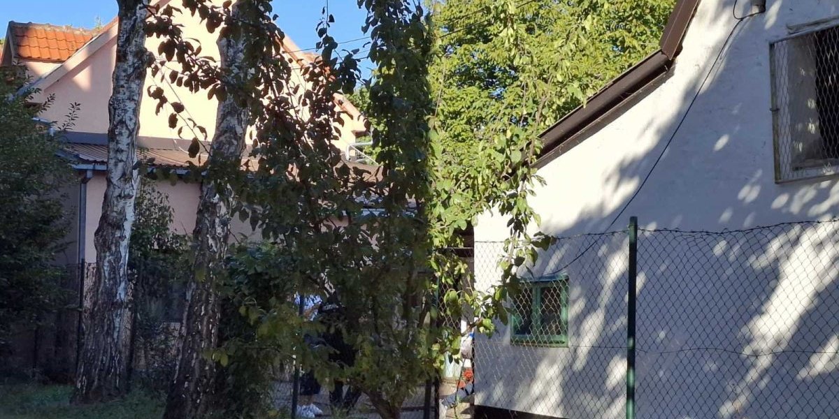 Mesto ubistva u Zemunu