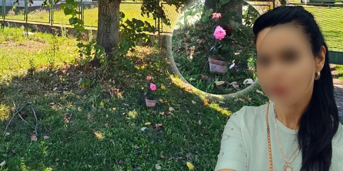 Besramno lagao da mu je neko ukrao auto i da ga je slupao? Odbrana pijanog mladića koji je usmrtio majku dok je šetala sina