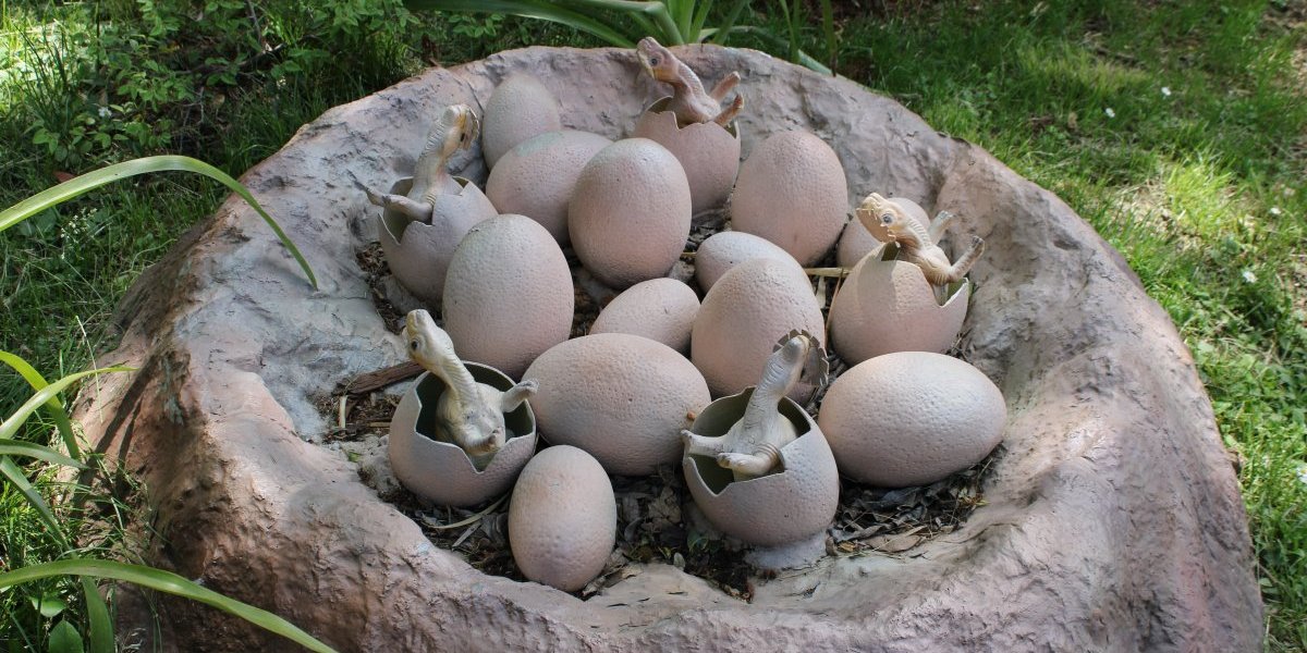 Otkriveno jaje staro milion godina: Nećete verovati kojoj vrsti pripada