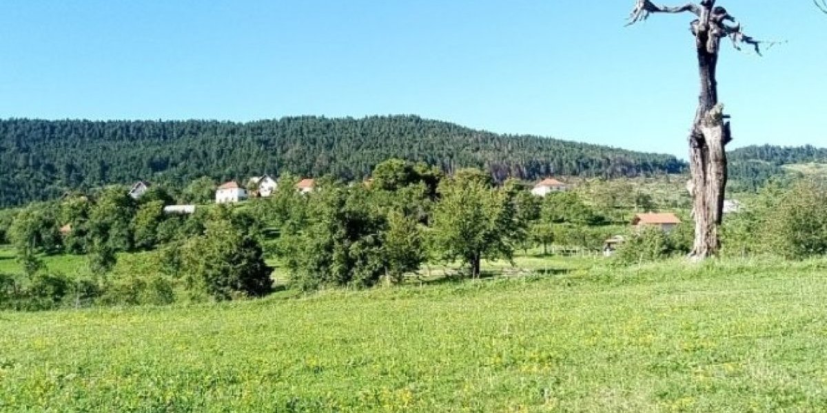 Ima deda iskustva: Celo selo mu zavidi na ovome